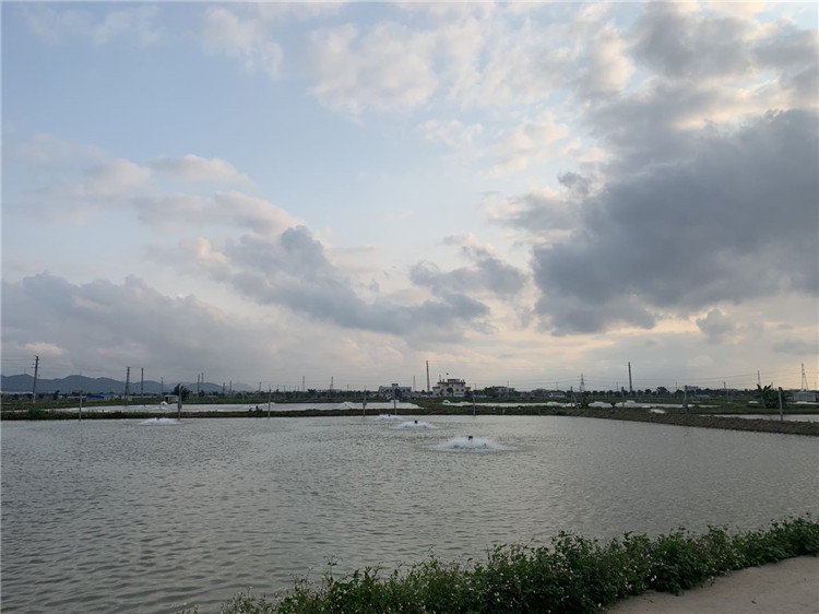 养殖场1.jpg