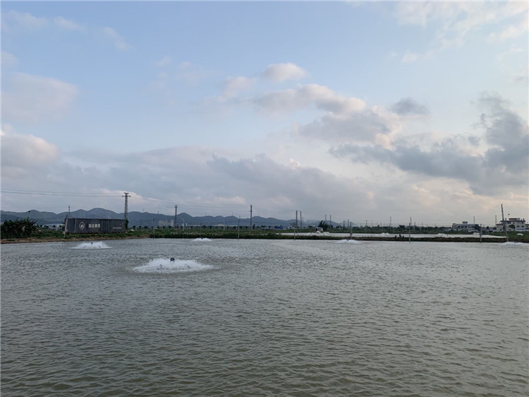 养殖场3.jpg